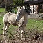 Casa Di Gianni